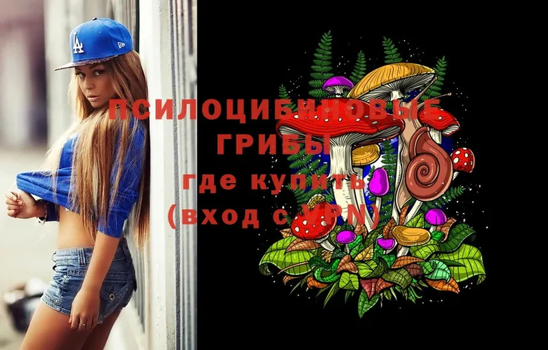 Галлюциногенные грибы MAGIC MUSHROOMS  darknet как зайти  Нижние Серги 